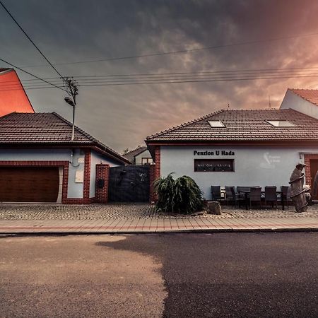 Penzion U Hada Velké Pavlovice Exteriör bild