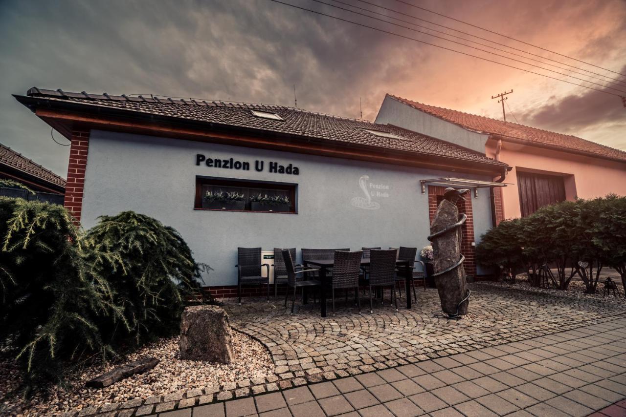 Penzion U Hada Velké Pavlovice Exteriör bild