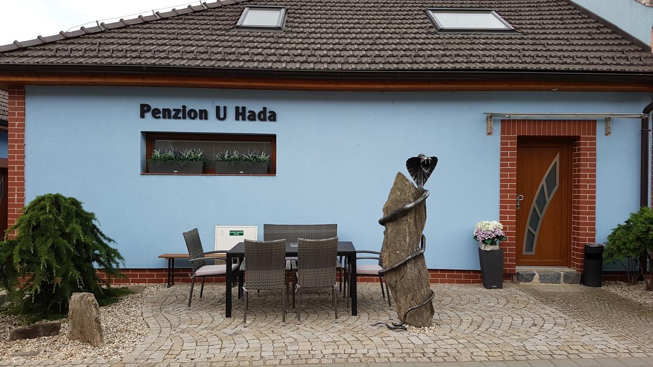 Penzion U Hada Velké Pavlovice Exteriör bild